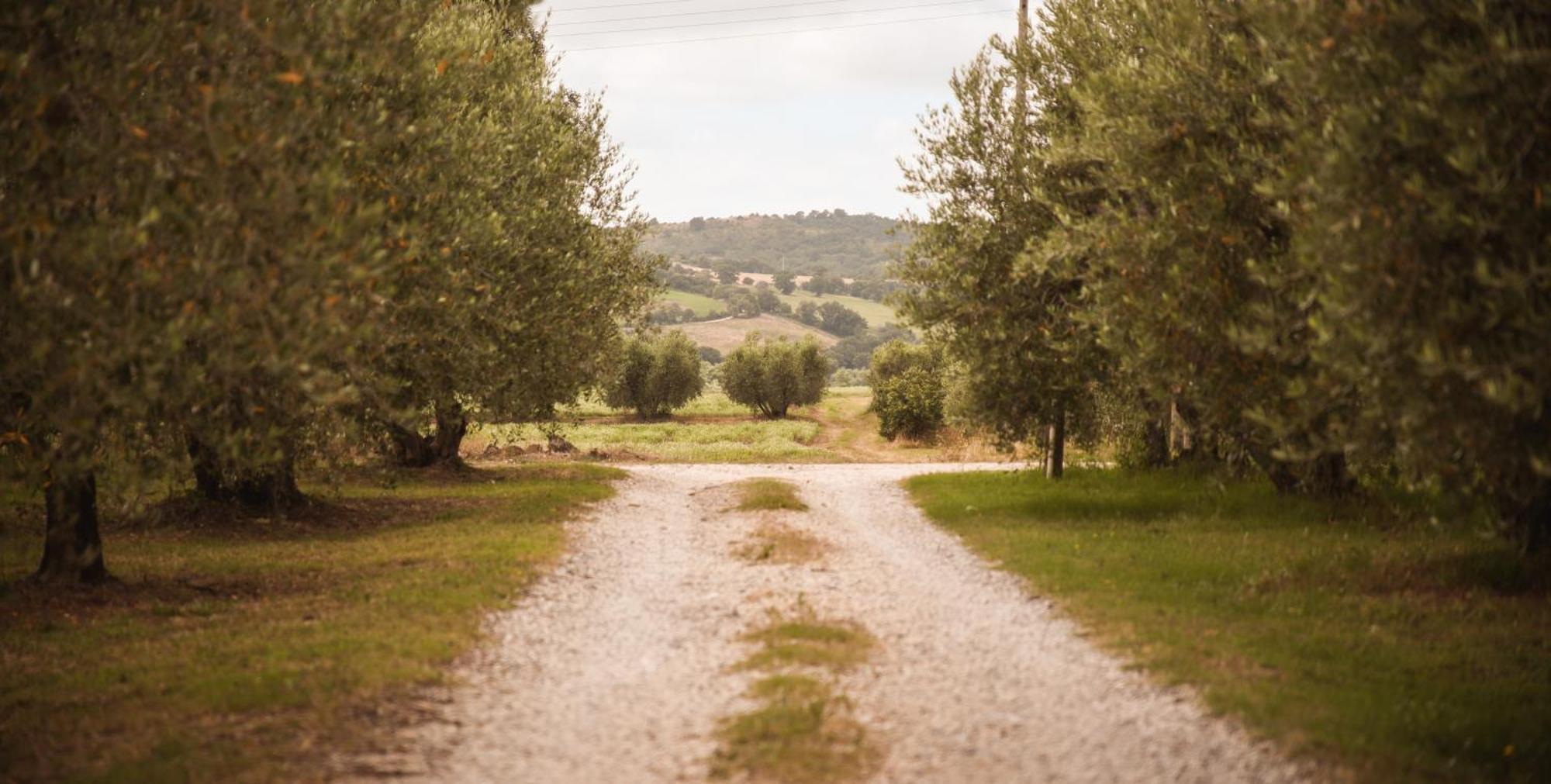 Agriturismo Poggio Alle Calle Saturnia Zewnętrze zdjęcie